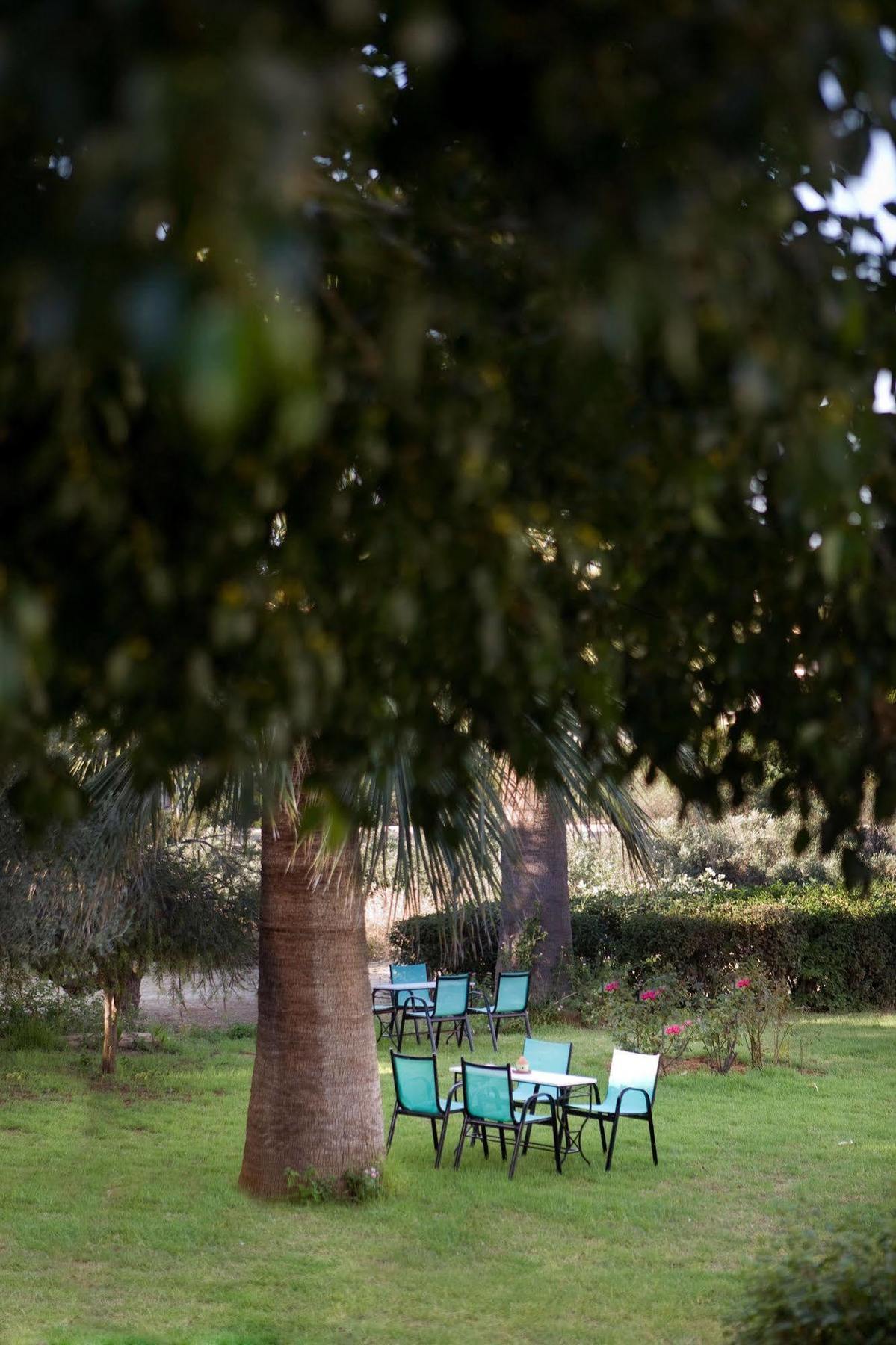 Villa Life Agia Marina Buitenkant foto